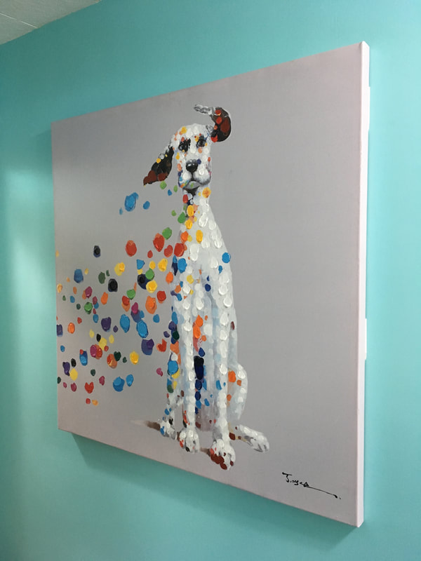 dentist office in pasadena 7